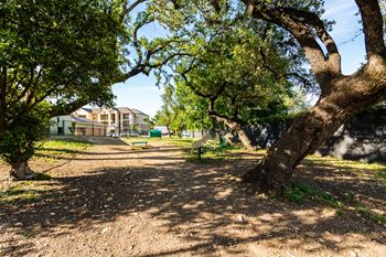Expansive bark park